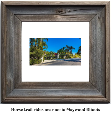 horse trail rides near me in Maywood, Illinois